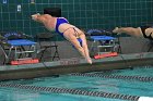 Swimming & Diving vs Babson  Swimming & Diving vs Babson College. - Photo by Keith Nordstrom : Wheaton, Swimming